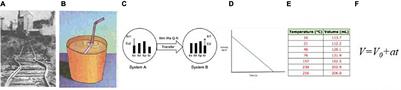 Inscriptions in Science Teaching: From Realism to Abstraction